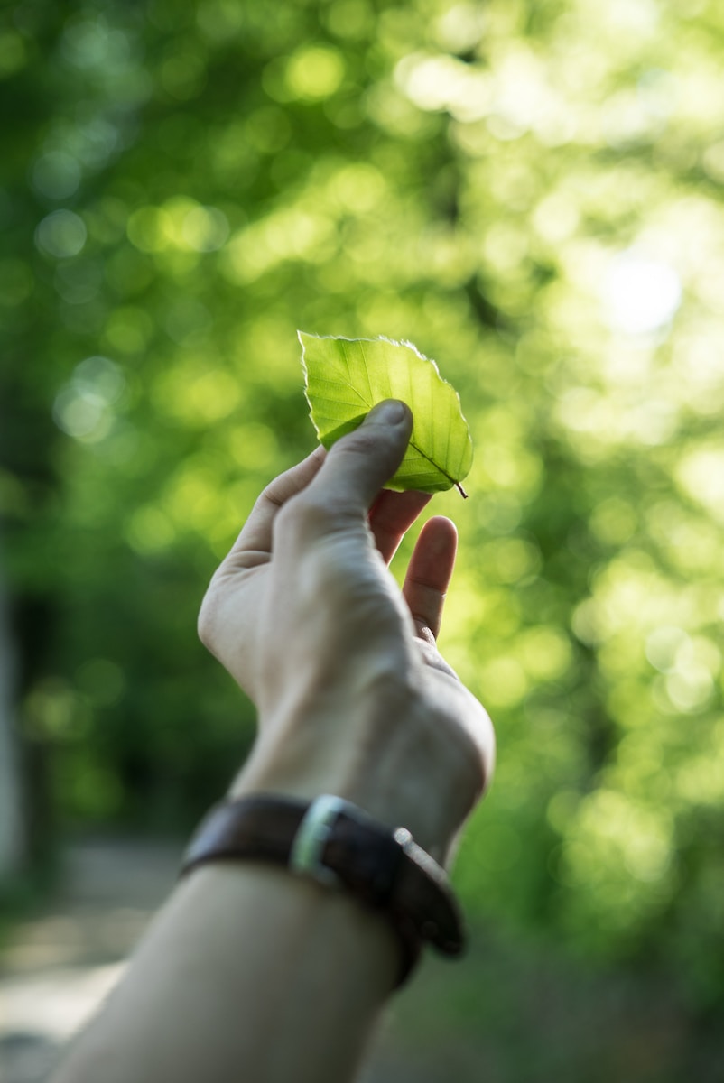 Renewable Energy: Why and How to Adopt It?